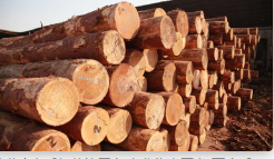 17648218078461.png image.png