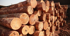 17648218996789.png image.png